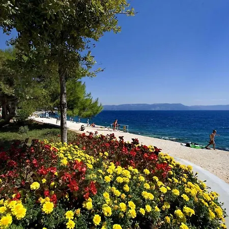 Queen Of * Labin (Istria)
